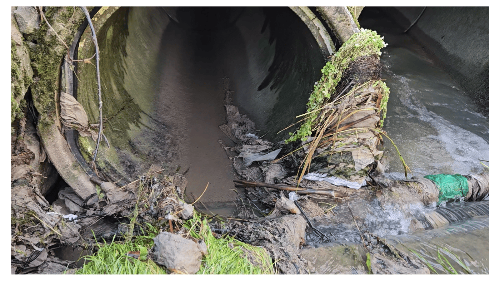 Ikke kast søppel i do – det koster oss alle dyrt