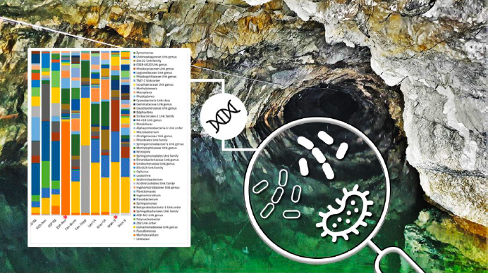 Hvilke bakterier finnes i drikkevannet vårt?