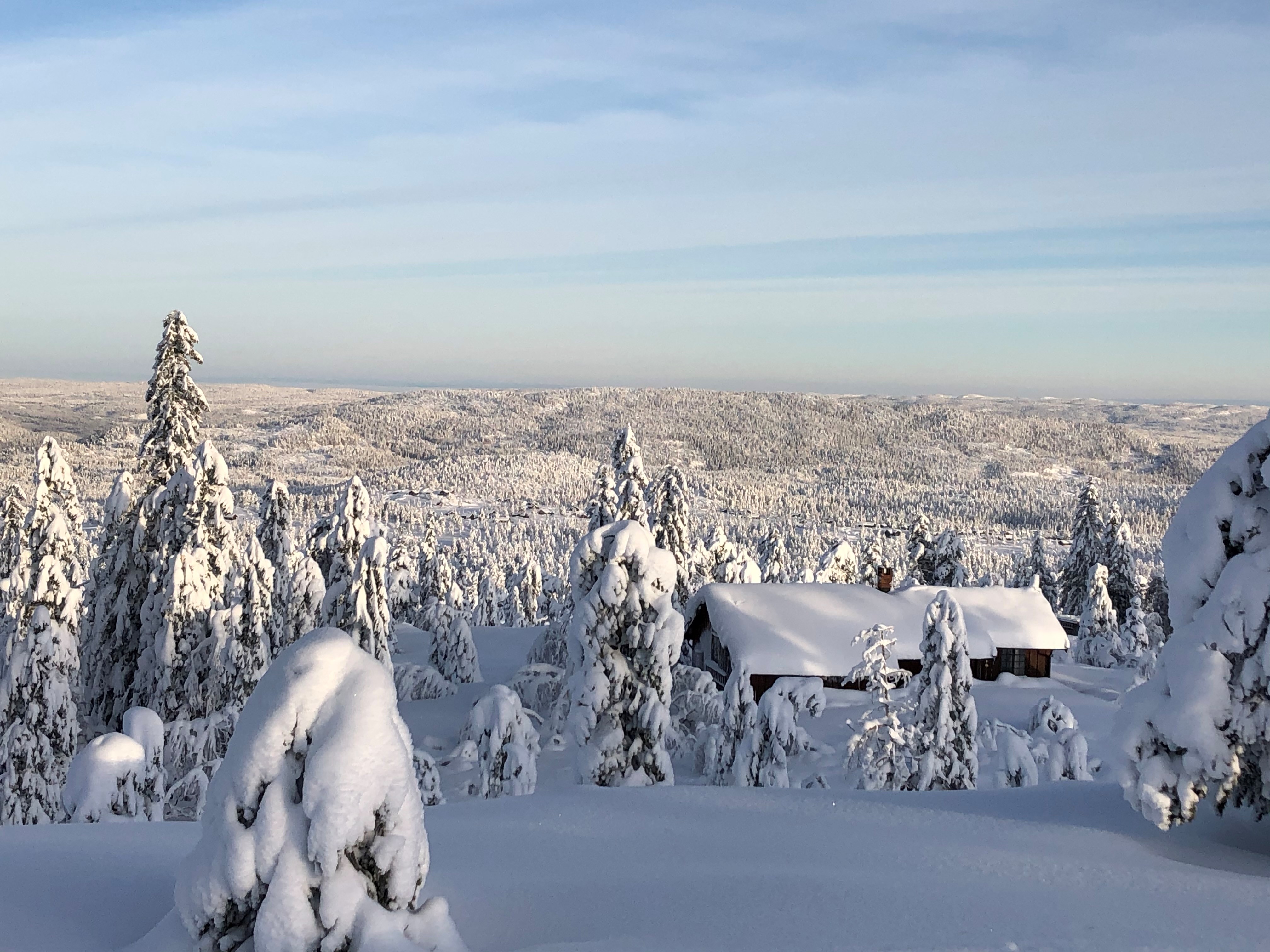 Nye rapporter om nitrogenrensing