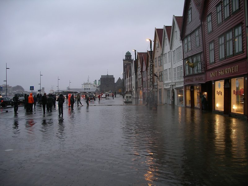 Endelig skadedata fra Kunnskapsbanken!