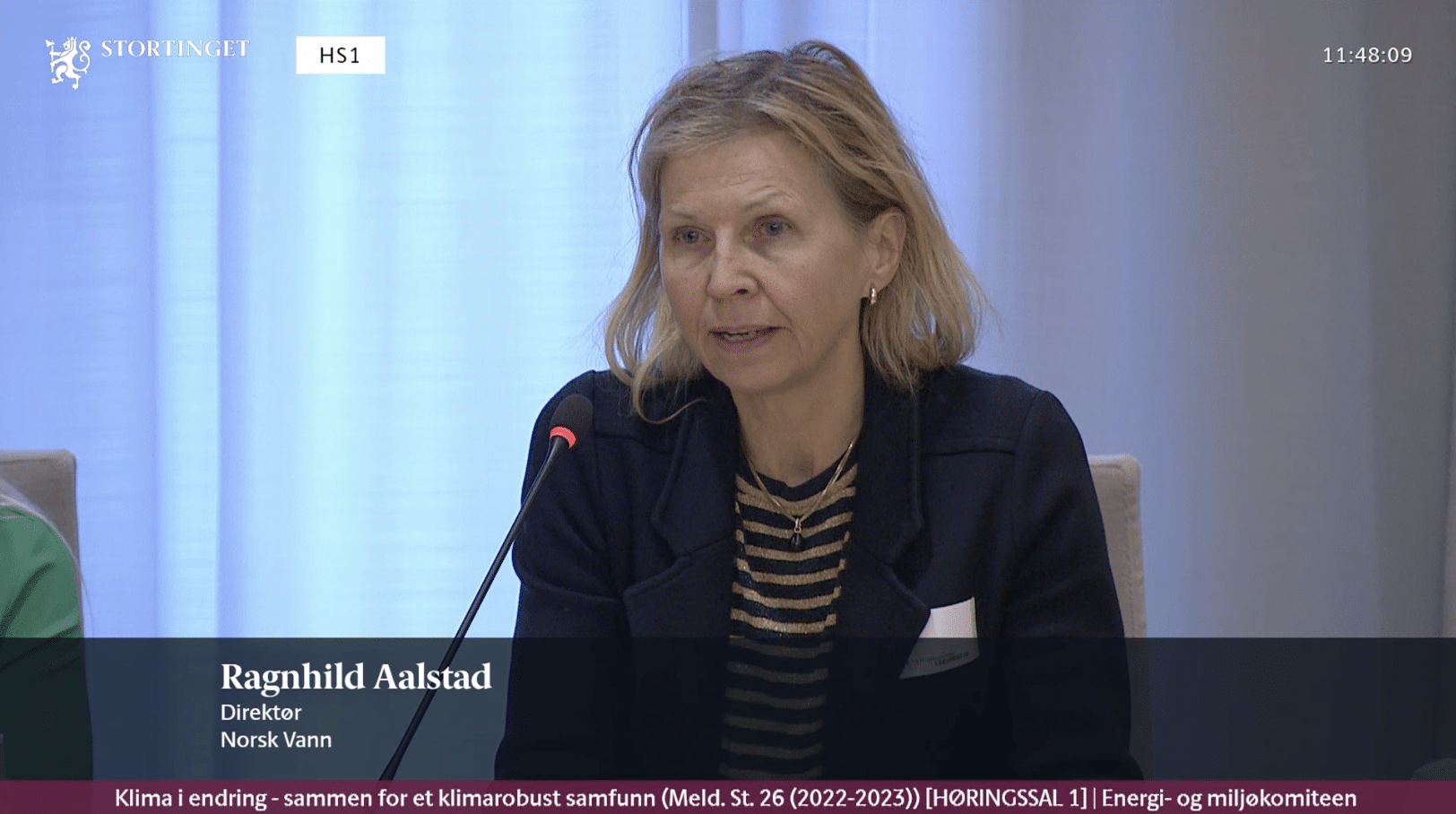 Ragnhild Aalstad i høringen om regjeringens Klimamelding