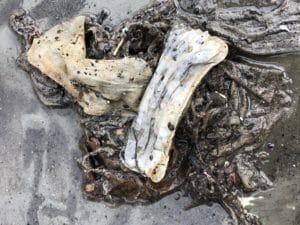 våtservietter og bind funnet i sjøen