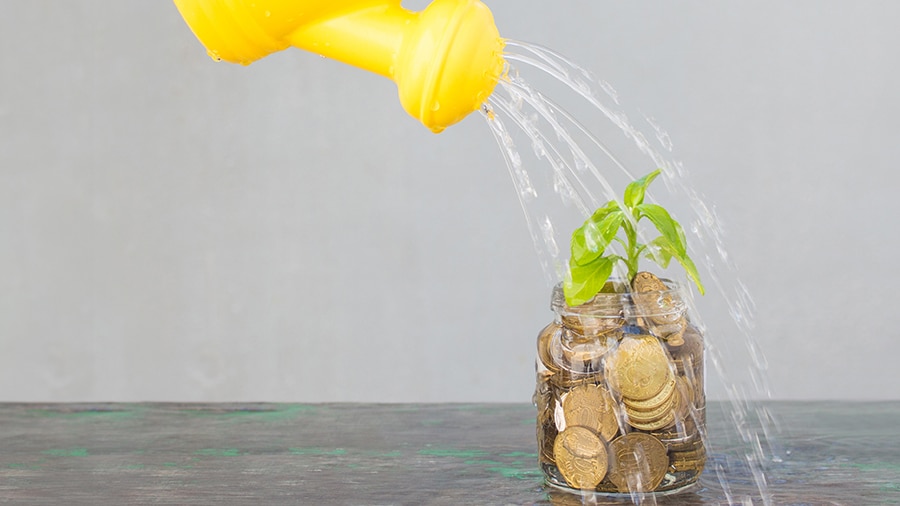 Water dispenser is watering money tree. Concept of profitable cash investments.